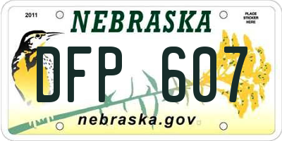 NE license plate DFP607