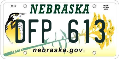 NE license plate DFP613