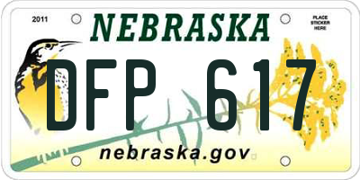 NE license plate DFP617