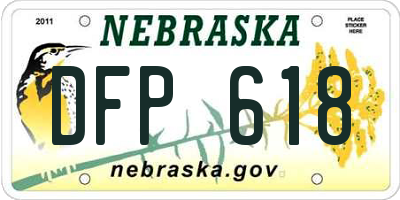 NE license plate DFP618