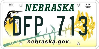 NE license plate DFP713
