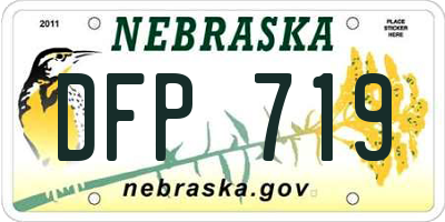 NE license plate DFP719