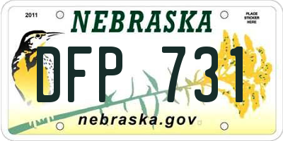 NE license plate DFP731