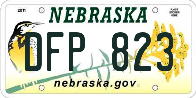 NE license plate DFP823