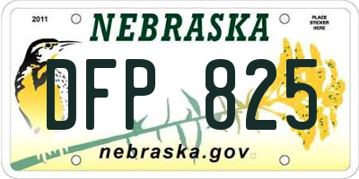 NE license plate DFP825