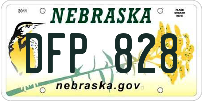 NE license plate DFP828