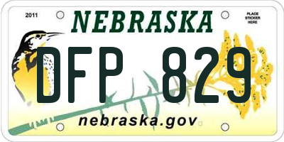 NE license plate DFP829