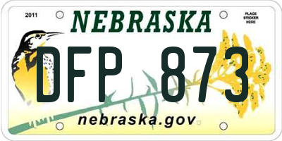 NE license plate DFP873