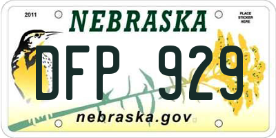 NE license plate DFP929