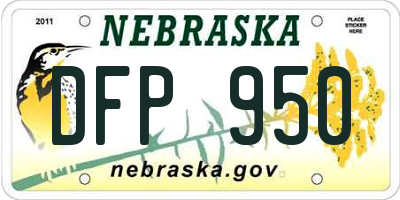 NE license plate DFP950
