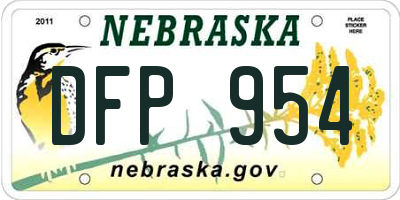 NE license plate DFP954