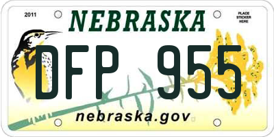 NE license plate DFP955