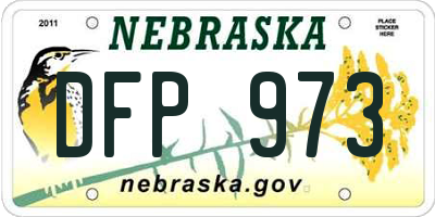 NE license plate DFP973