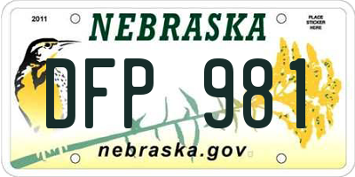 NE license plate DFP981