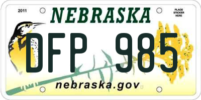 NE license plate DFP985