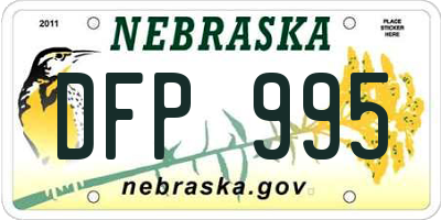 NE license plate DFP995