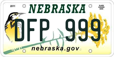 NE license plate DFP999
