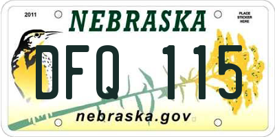NE license plate DFQ115