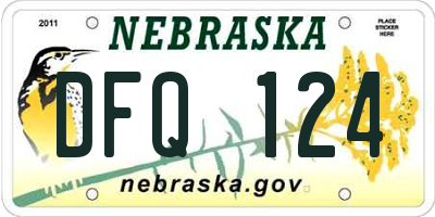 NE license plate DFQ124
