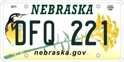 NE license plate DFQ221