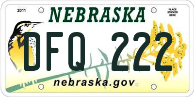 NE license plate DFQ222