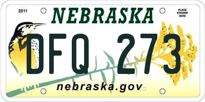 NE license plate DFQ273