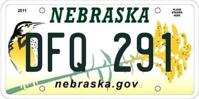 NE license plate DFQ291