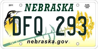 NE license plate DFQ293