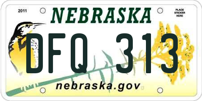NE license plate DFQ313