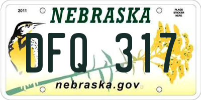 NE license plate DFQ317