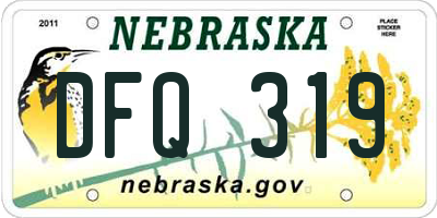 NE license plate DFQ319