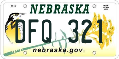 NE license plate DFQ321
