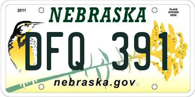 NE license plate DFQ391