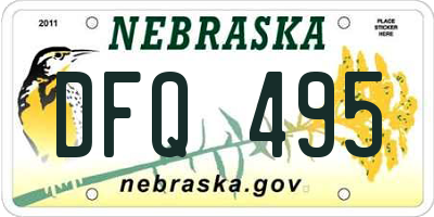 NE license plate DFQ495