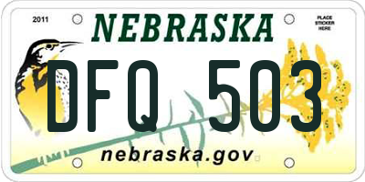 NE license plate DFQ503