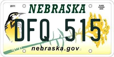 NE license plate DFQ515