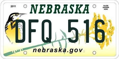 NE license plate DFQ516