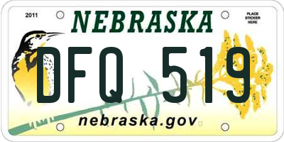 NE license plate DFQ519