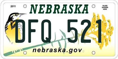 NE license plate DFQ521