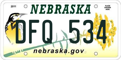 NE license plate DFQ534