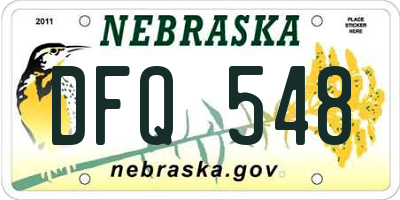 NE license plate DFQ548