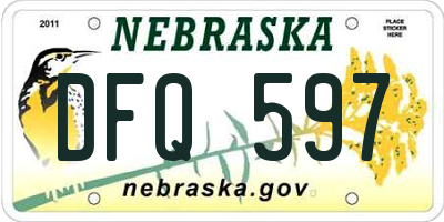 NE license plate DFQ597