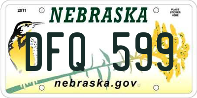 NE license plate DFQ599