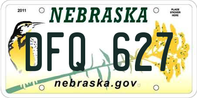 NE license plate DFQ627