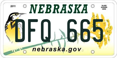 NE license plate DFQ665