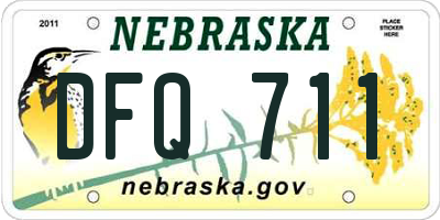 NE license plate DFQ711