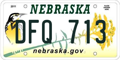 NE license plate DFQ713