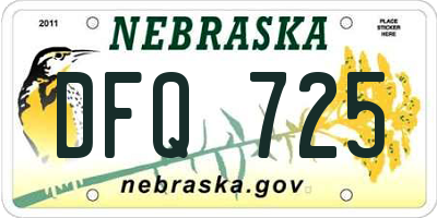 NE license plate DFQ725