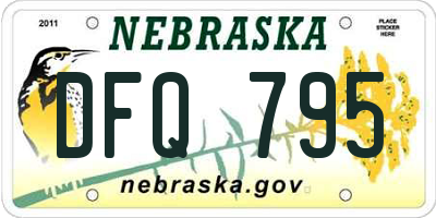 NE license plate DFQ795
