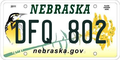 NE license plate DFQ802